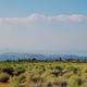 Mono Lake